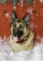 processed/e8bbced1-e13d-4b00-a700-f9dc239db56a/facility/8124ad98-c250-4156-ab78-9012a740b4f4