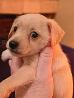 processed/e8c15b18-7f5a-45d6-88a5-531593534b51/listing/3aad500a-d3a9-45fe-bf19-d79632b52308/27572563-6597-456a-9834-e100aab4d9a1