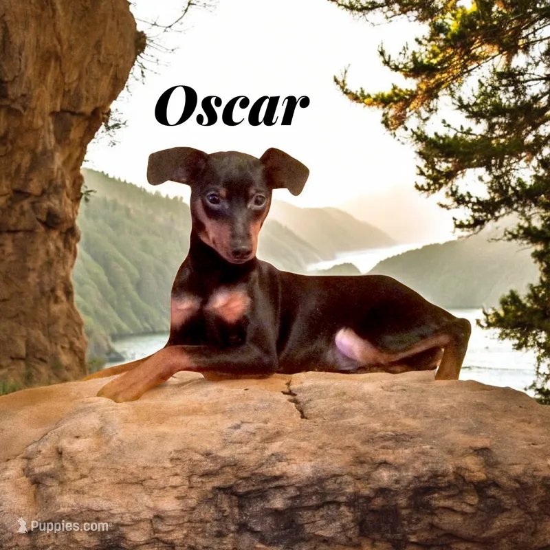 Oscar