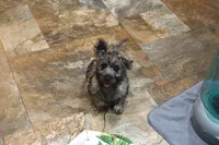 processed/e8d3fc23-4678-46f9-9a04-6376caa2af94/listing/032b7c14-2055-4863-953a-5bc4397c7c15/5a67d7f0-7fb8-4340-a69f-3aef9808db8f