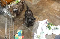 processed/e8d3fc23-4678-46f9-9a04-6376caa2af94/listing/032b7c14-2055-4863-953a-5bc4397c7c15/616073d3-b513-4ab4-a4aa-6e3648ccf4c0