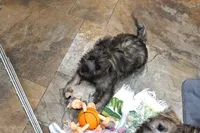 processed/e8d3fc23-4678-46f9-9a04-6376caa2af94/listing/032b7c14-2055-4863-953a-5bc4397c7c15/b8b09e1c-5ef3-4c23-977f-31f4f850ecf4