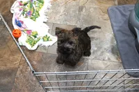 processed/e8d3fc23-4678-46f9-9a04-6376caa2af94/listing/05146302-5c6d-4111-b29b-2e4165d8333e/36574ba5-0212-407f-8487-f59f2435c484