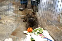 processed/e8d3fc23-4678-46f9-9a04-6376caa2af94/listing/05146302-5c6d-4111-b29b-2e4165d8333e/b42aea00-7c25-4caf-ae2d-f3c508c9202f