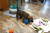 processed/e8d3fc23-4678-46f9-9a04-6376caa2af94/listing/05146302-5c6d-4111-b29b-2e4165d8333e/d4b9c955-3c2d-4c15-96e7-ba36bdee32d0