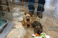 processed/e8d3fc23-4678-46f9-9a04-6376caa2af94/listing/319612fc-b8a7-4096-bf15-48661859c2b0/1f0b3254-0d16-408d-86eb-6aa1bebbd8a9