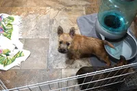 processed/e8d3fc23-4678-46f9-9a04-6376caa2af94/listing/319612fc-b8a7-4096-bf15-48661859c2b0/3c963770-0f9a-4465-b539-70bab48b6c5c