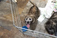 processed/e8d3fc23-4678-46f9-9a04-6376caa2af94/listing/4c65cd93-2157-4dc7-a837-2d5271eee0dc/474752e6-40c1-406c-a5aa-ad715e3de2f8