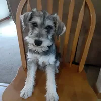 processed/e8db5d73-85e9-4070-88fe-1015692aaccb/facility/03532f23-1c29-4941-9783-231d7da05007