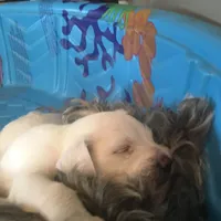 processed/e8db5d73-85e9-4070-88fe-1015692aaccb/facility/135182a9-52bb-4bd6-81b6-107f6ba079b6