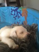 processed/e8db5d73-85e9-4070-88fe-1015692aaccb/facility/135182a9-52bb-4bd6-81b6-107f6ba079b6