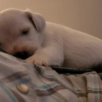 processed/e8db5d73-85e9-4070-88fe-1015692aaccb/facility/2b8f24f0-4e3b-42fd-a7de-af3ab78cd48a