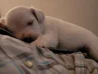 processed/e8db5d73-85e9-4070-88fe-1015692aaccb/facility/2b8f24f0-4e3b-42fd-a7de-af3ab78cd48a