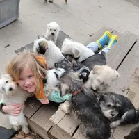 processed/e8db5d73-85e9-4070-88fe-1015692aaccb/facility/33312489-6886-4418-b135-c3aafd209b7a