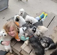 processed/e8db5d73-85e9-4070-88fe-1015692aaccb/facility/33312489-6886-4418-b135-c3aafd209b7a