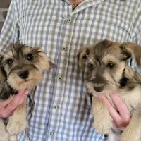 processed/e8db5d73-85e9-4070-88fe-1015692aaccb/facility/3ad72c25-9194-46d2-9a69-cd40c220f416