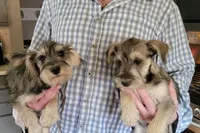 processed/e8db5d73-85e9-4070-88fe-1015692aaccb/facility/3ad72c25-9194-46d2-9a69-cd40c220f416