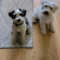 processed/e8db5d73-85e9-4070-88fe-1015692aaccb/facility/4a92b6d2-7586-46c6-b41c-027e5b68c62c