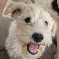 processed/e8db5d73-85e9-4070-88fe-1015692aaccb/facility/83c50f44-a3cc-4ecb-acf8-7b871e9630ca