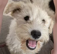 processed/e8db5d73-85e9-4070-88fe-1015692aaccb/facility/83c50f44-a3cc-4ecb-acf8-7b871e9630ca