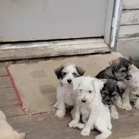 processed/e8db5d73-85e9-4070-88fe-1015692aaccb/facility/a11a7916-a217-4ff0-b55a-615c2a9cc02d