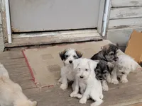 processed/e8db5d73-85e9-4070-88fe-1015692aaccb/facility/a11a7916-a217-4ff0-b55a-615c2a9cc02d