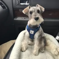 processed/e8db5d73-85e9-4070-88fe-1015692aaccb/facility/ab42980a-d3ab-4cd1-b607-dc5c5b4ed756