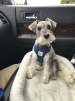 processed/e8db5d73-85e9-4070-88fe-1015692aaccb/facility/ab42980a-d3ab-4cd1-b607-dc5c5b4ed756