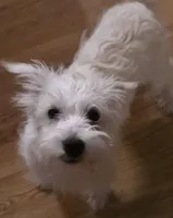 processed/e8db5d73-85e9-4070-88fe-1015692aaccb/listing/06c6d128-e09f-45f3-960d-9030b400a0bf/32d36e6d-a73e-44e9-8559-6f76a9a81039