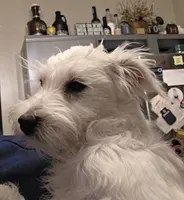 processed/e8db5d73-85e9-4070-88fe-1015692aaccb/listing/06c6d128-e09f-45f3-960d-9030b400a0bf/3d0ad629-32cc-4987-b468-79c5b6da5d64