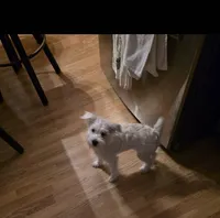 processed/e8db5d73-85e9-4070-88fe-1015692aaccb/listing/06c6d128-e09f-45f3-960d-9030b400a0bf/593d8931-d04e-4a4e-9061-4ad204d0ff23