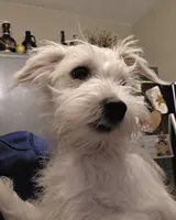 processed/e8db5d73-85e9-4070-88fe-1015692aaccb/listing/06c6d128-e09f-45f3-960d-9030b400a0bf/754c8ec0-18d1-426b-a6ba-dfe11fcf842e