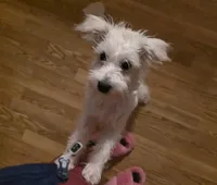 processed/e8db5d73-85e9-4070-88fe-1015692aaccb/listing/06c6d128-e09f-45f3-960d-9030b400a0bf/c35dffe9-dc52-44eb-8508-d1c0f209d11a