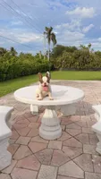 PENNY , a female French Bulldog for sale in Miami, FL – 6 of 10