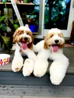 processed/e8e7a2d4-4bdd-4fef-b81b-5251c0b640c9/listing/197379fc-6ce5-41a9-9dd9-87d0e19497aa/e427d451-473a-4f14-a06e-9d64644e8525