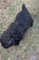 processed/e8e7a2d4-4bdd-4fef-b81b-5251c0b640c9/listing/24be4d17-a7df-4fd3-871a-2f9ad18ef102/9c4563b9-2a34-4e37-af8e-ed984af090b7