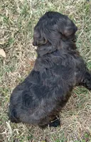 processed/e8e7a2d4-4bdd-4fef-b81b-5251c0b640c9/listing/24be4d17-a7df-4fd3-871a-2f9ad18ef102/b764072c-4e2d-46e0-8ad1-d92f1011e569