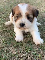 processed/e8e7a2d4-4bdd-4fef-b81b-5251c0b640c9/listing/494ca0f8-530f-46bb-a62d-e941decde01a/112d6966-7b22-473a-ad01-f40aa523c3ba