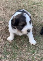 processed/e8e7a2d4-4bdd-4fef-b81b-5251c0b640c9/listing/b4b6d011-a219-425f-9f66-6ae654f5b1f4/1632e82f-7c2d-4803-ac4e-edd523486851