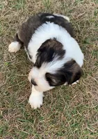 processed/e8e7a2d4-4bdd-4fef-b81b-5251c0b640c9/listing/b4b6d011-a219-425f-9f66-6ae654f5b1f4/f95f2a5a-80ce-4662-8c36-5deaefbffe53