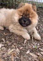 processed/e8e7a2d4-4bdd-4fef-b81b-5251c0b640c9/listing/cfbe49c4-f13c-42c4-8906-326aed3ac3e2/02bace55-6fa1-4259-bfc9-20e4fe1aa858