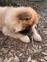 processed/e8e7a2d4-4bdd-4fef-b81b-5251c0b640c9/listing/cfbe49c4-f13c-42c4-8906-326aed3ac3e2/1fa6dedb-cbab-491e-be33-13c131875053