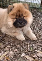 processed/e8e7a2d4-4bdd-4fef-b81b-5251c0b640c9/listing/cfbe49c4-f13c-42c4-8906-326aed3ac3e2/7d7bad90-9403-4ffb-b76b-d492835e218e