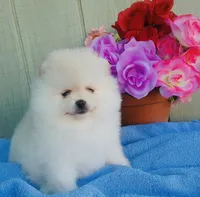 processed/e8ed8065-5447-4091-9033-bd42601ad3f6/listing/9722b10b-55c4-4705-be35-06f6cb266091/55c7c87a-f70e-46b1-9460-eafeb7cdd519