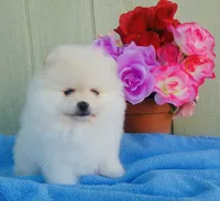 processed/e8ed8065-5447-4091-9033-bd42601ad3f6/listing/9722b10b-55c4-4705-be35-06f6cb266091/8cd1ec99-7859-43be-9c0e-5d04ce13c5d8