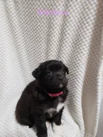 processed/e8f853fe-1c84-4f36-94be-23a71995186c/listing/4596da42-f153-47e7-951c-356437277f29/58bc7815-fa2c-4caf-811a-07c25a74587a