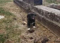 processed/e8f853fe-1c84-4f36-94be-23a71995186c/listing/4596da42-f153-47e7-951c-356437277f29/5ac98d68-d7c3-45c5-a5ef-2eead4e4175e