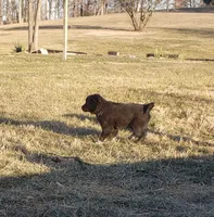 processed/e8f853fe-1c84-4f36-94be-23a71995186c/listing/4596da42-f153-47e7-951c-356437277f29/d5b535b7-61e2-4a56-8cbf-1e5d07c8e191