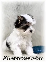 processed/e91064b1-2a53-4527-89d7-d13815980be1/listing/7235388e-675d-42ac-8582-43ec98430c42/3bbebcb9-d611-4aaa-9ec1-caa09a1c6bf4