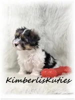 processed/e91064b1-2a53-4527-89d7-d13815980be1/listing/72b4e02d-ef71-4b46-bfce-4001537a95ee/4b6a71a5-91ed-4ae2-aebd-39e8a2d6ba6d